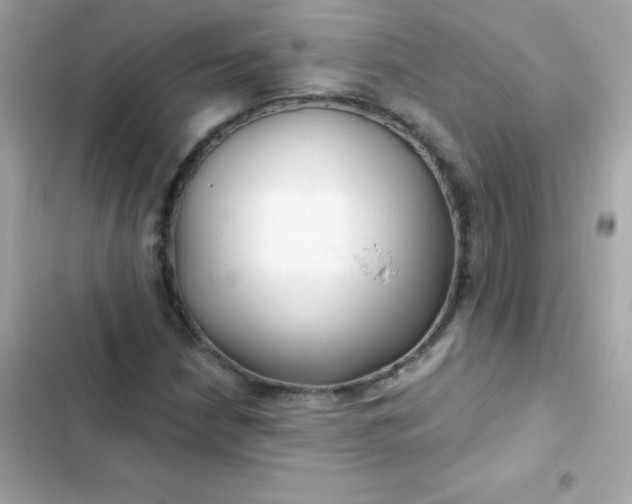 X0000103321210200809192132