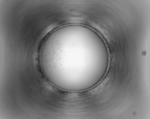 X0000103321211200809192132