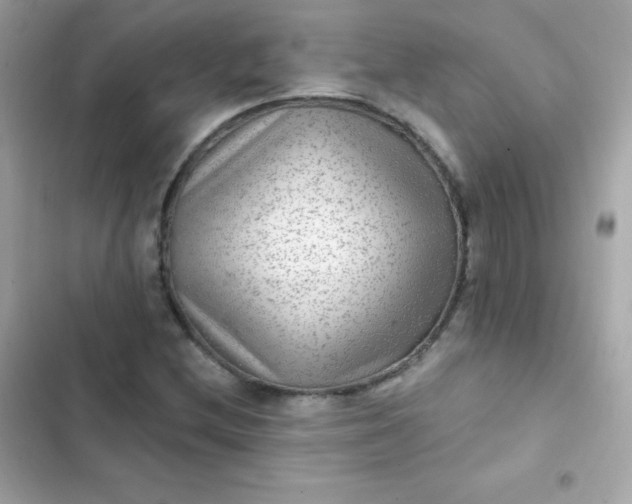 X0000103321212200809192132