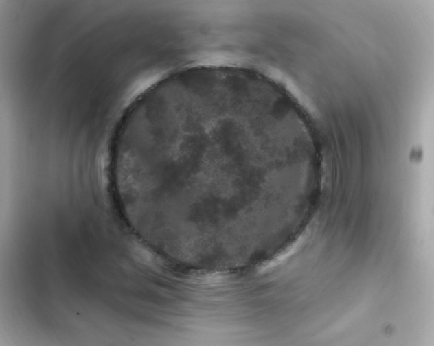 X0000103321213200809192132