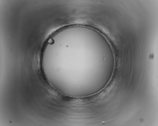 X0000103321214200809192132