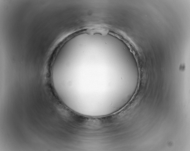 X0000103321215200809192132