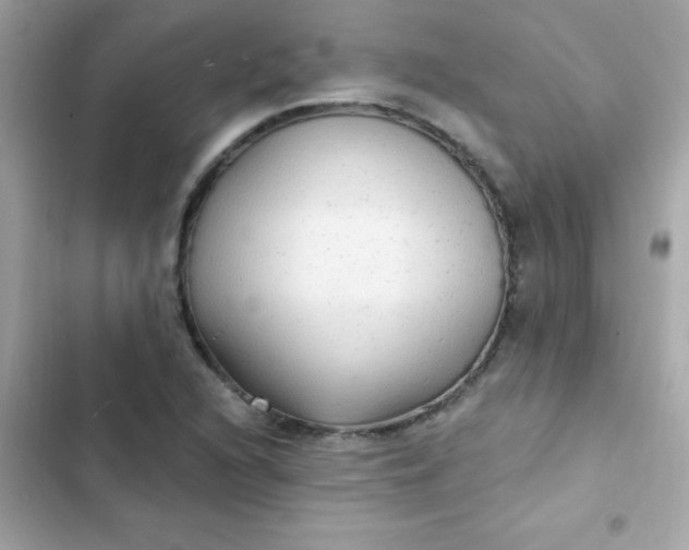 X0000103321216200809192132