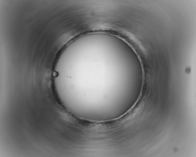 X0000103321217200809192132