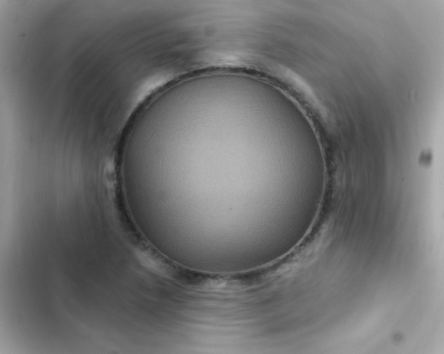 X0000103321218200809192132