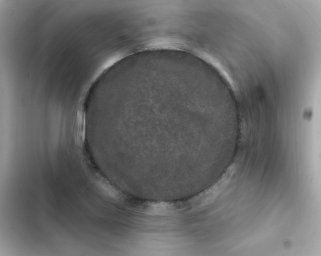 X0000103321219200809192132