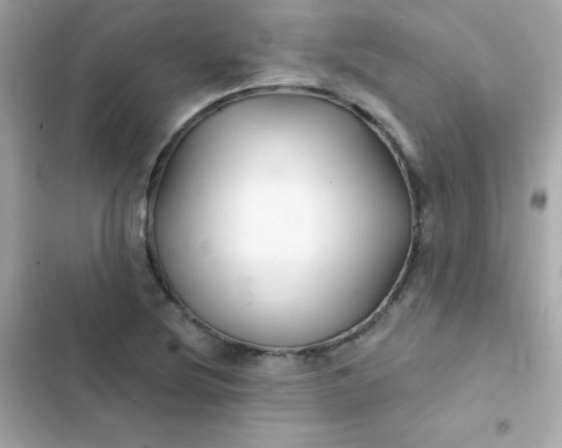 X0000103321220200809192132