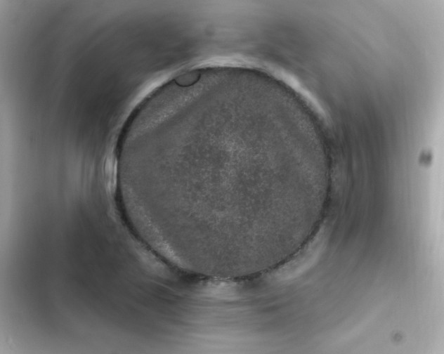 X0000103321221200809192132