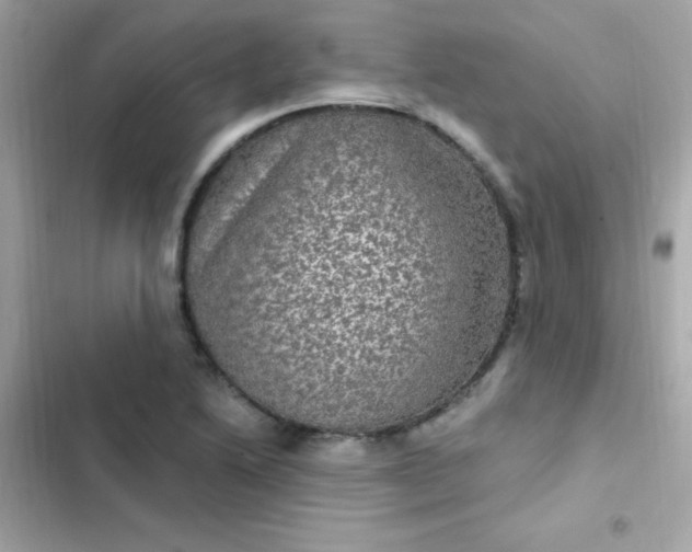 X0000103321222200809192132