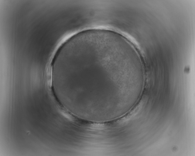 X0000103321223200809192132