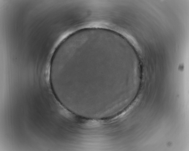 X0000103321224200809192132