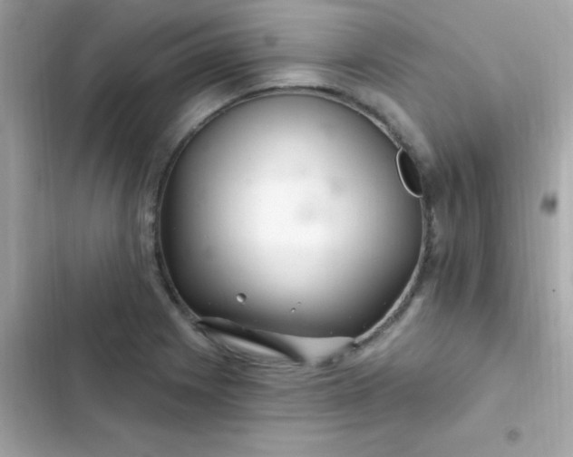 X0000103321225200809192132