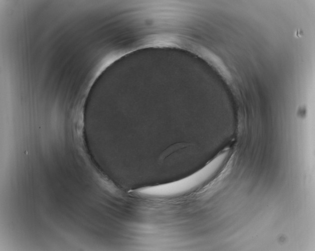 X0000103321226200809192132