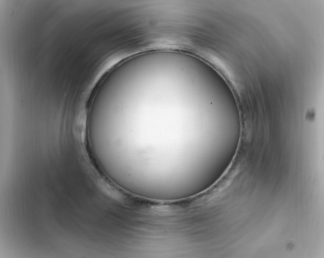 X0000103321227200809192132