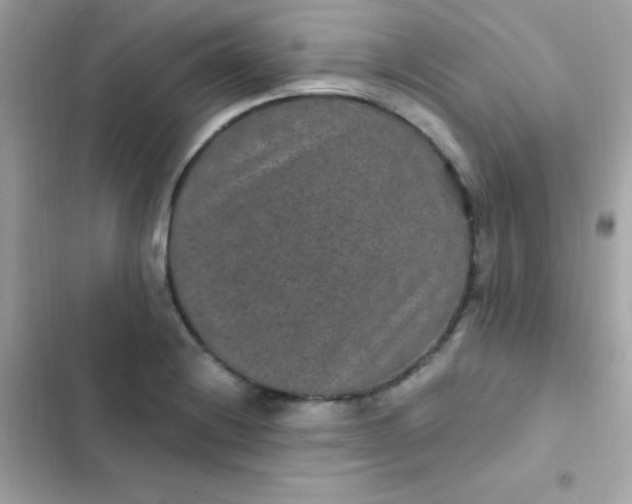 X0000103321228200809192132