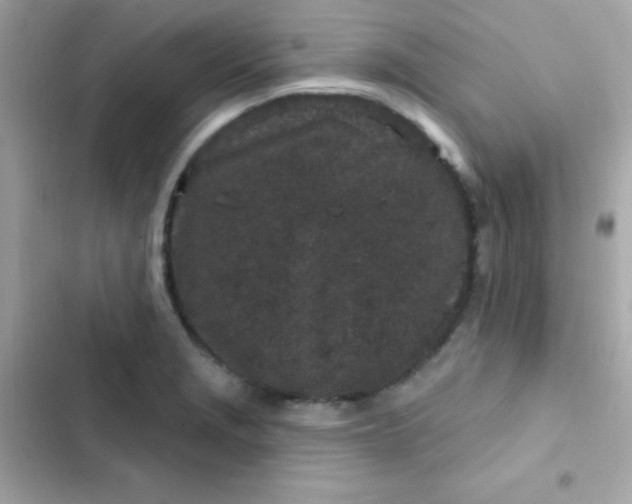 X0000103321229200809192132