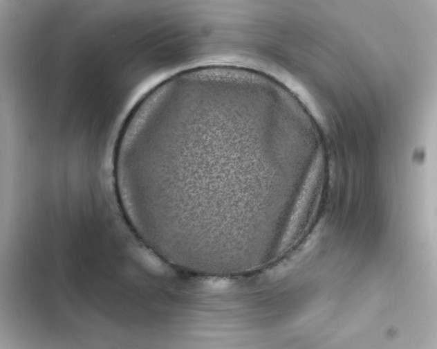 X0000103321230200809192132