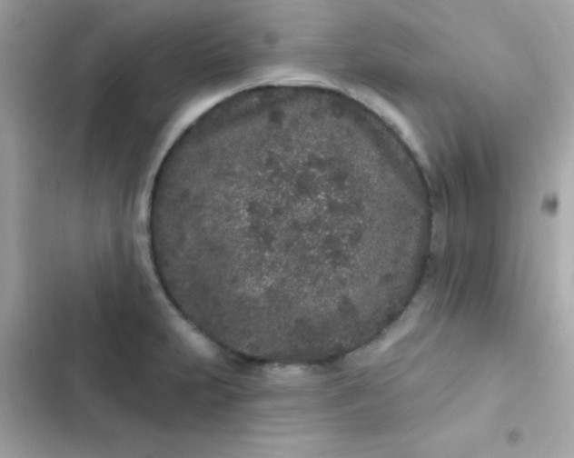 X0000103321231200809192132