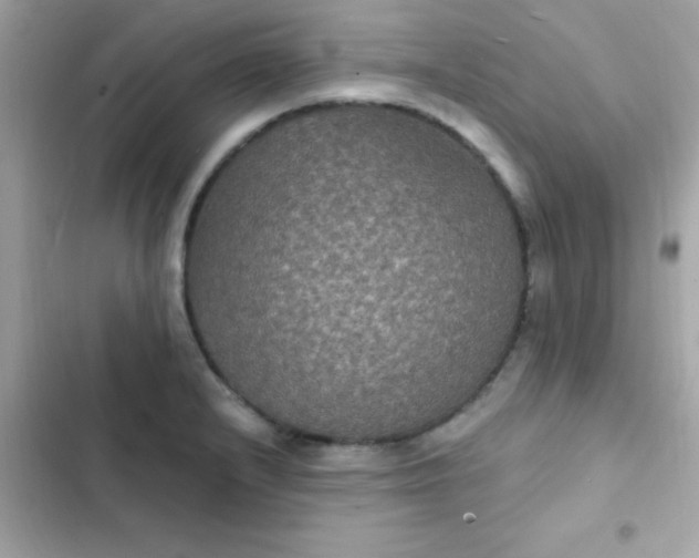 X0000103321232200809192132