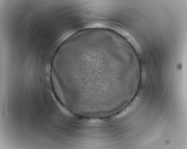 X0000103321233200809192132