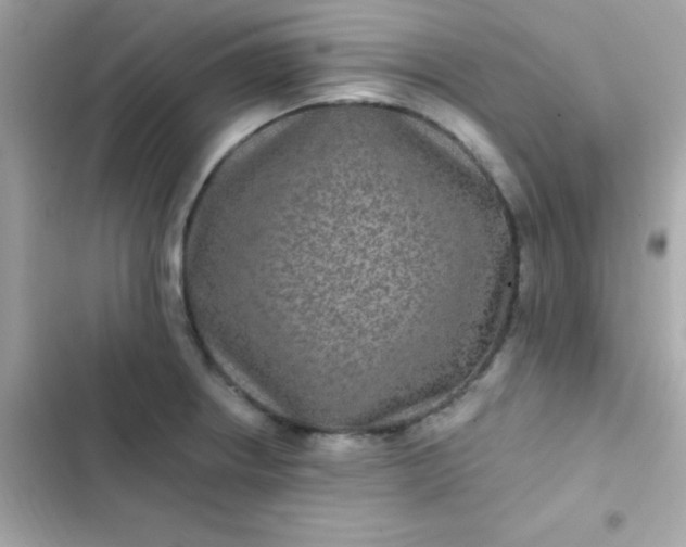 X0000103321234200809192132