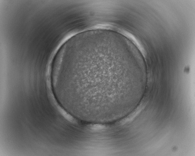 X0000103321235200809192132