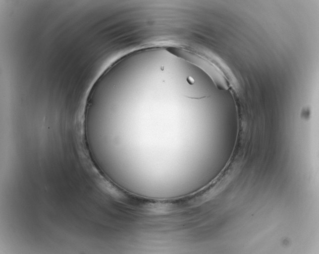 X0000103321236200809192132