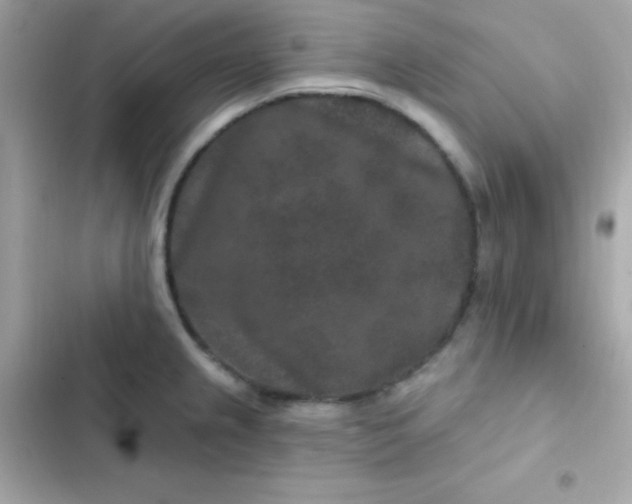 X0000103321237200809192132