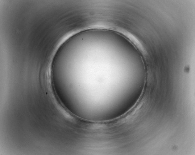 X0000103321238200809192132