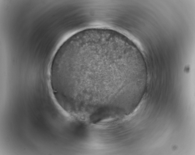 X0000103321239200809192132