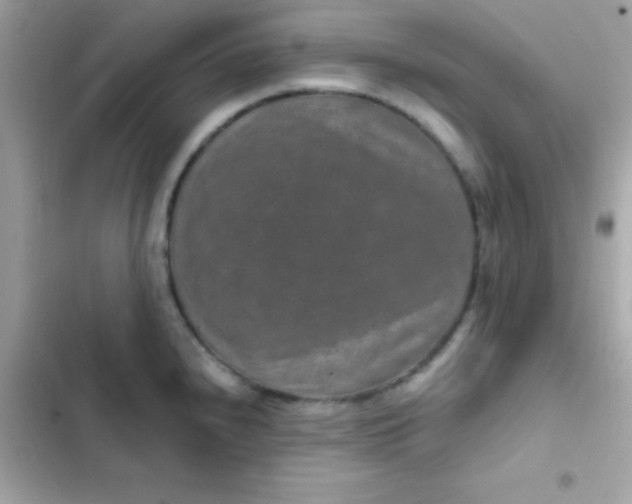 X0000103321240200809192132