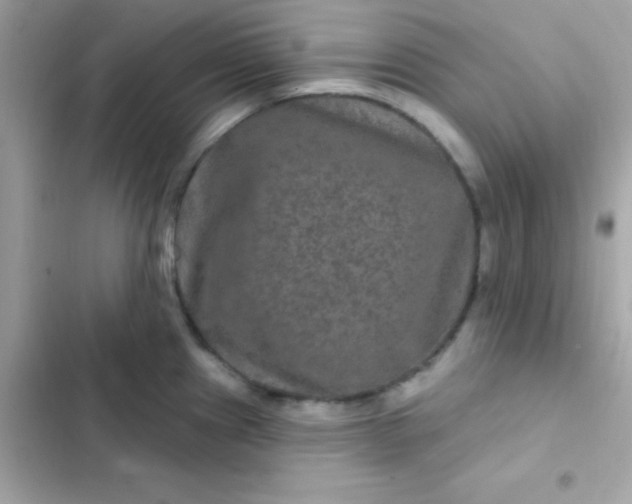 X0000103321241200809192132