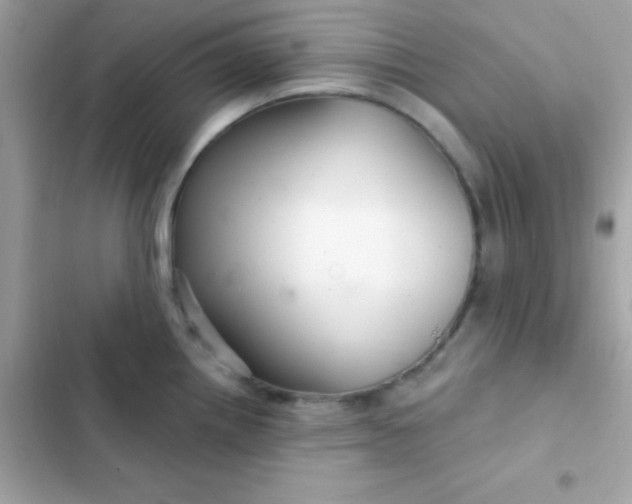 X0000103321242200809192132