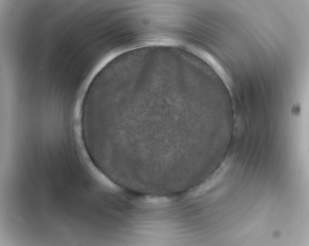 X0000103321243200809192132