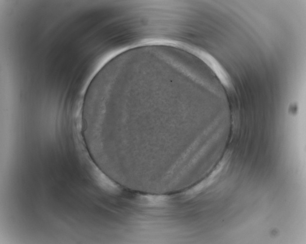 X0000103321244200809192132