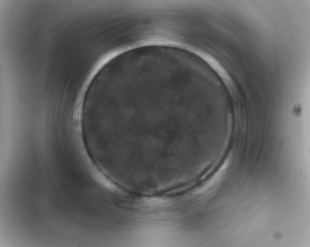 X0000103321246200809192132