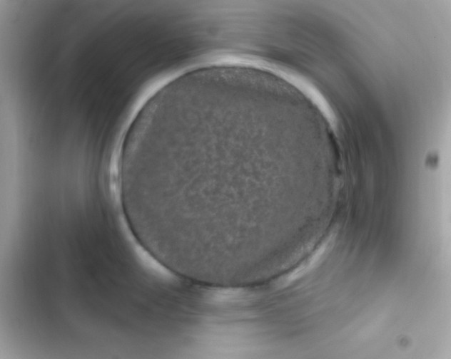 X0000103321247200809192132