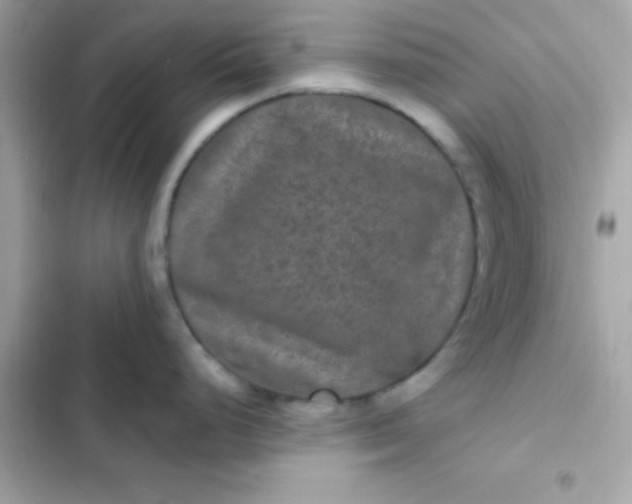 X0000103321248200809192132