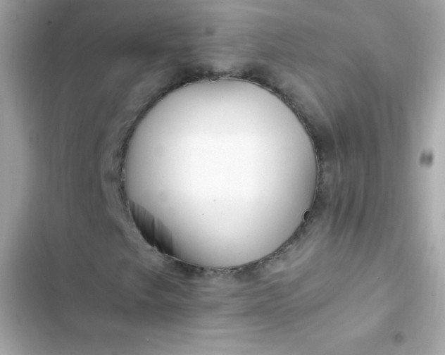 X0000103321249200809192131