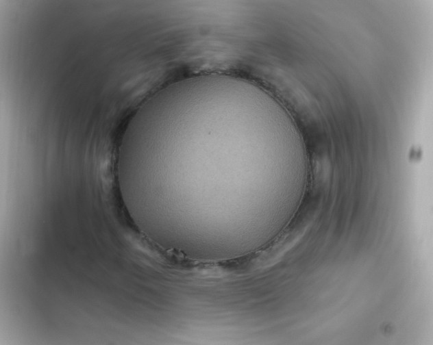 X0000103321250200809192131