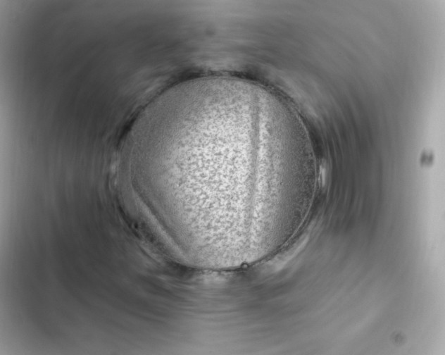 X0000103321251200809192131