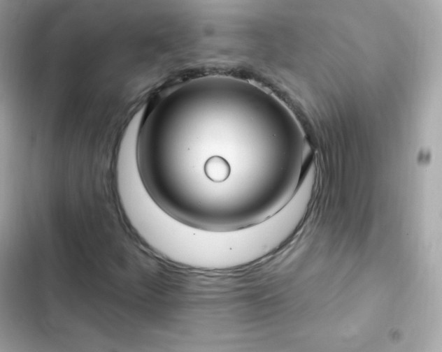 X0000103321252200809192131