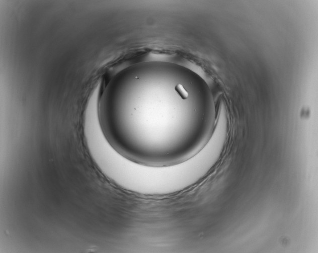 X0000103321253200809192131