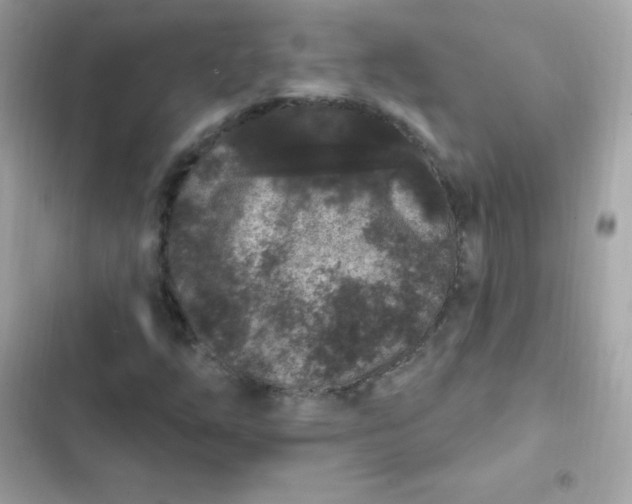 X0000103321254200809192131