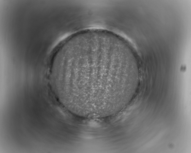 X0000103321255200809192131