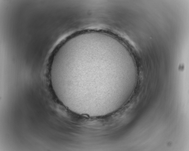 X0000103321256200809192131