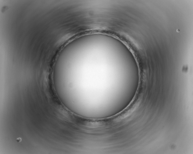 X0000103321257200809192131