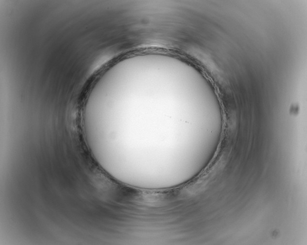 X0000103321258200809192131