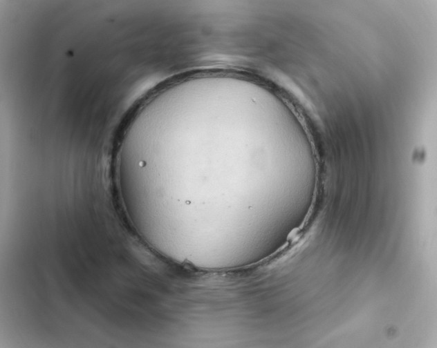 X0000103321259200809192131