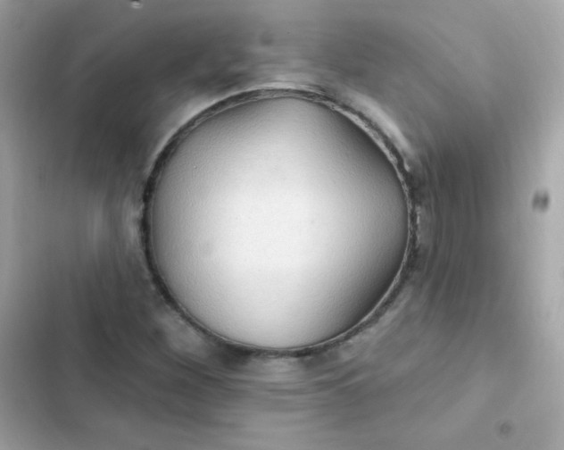 X0000103321260200809192131